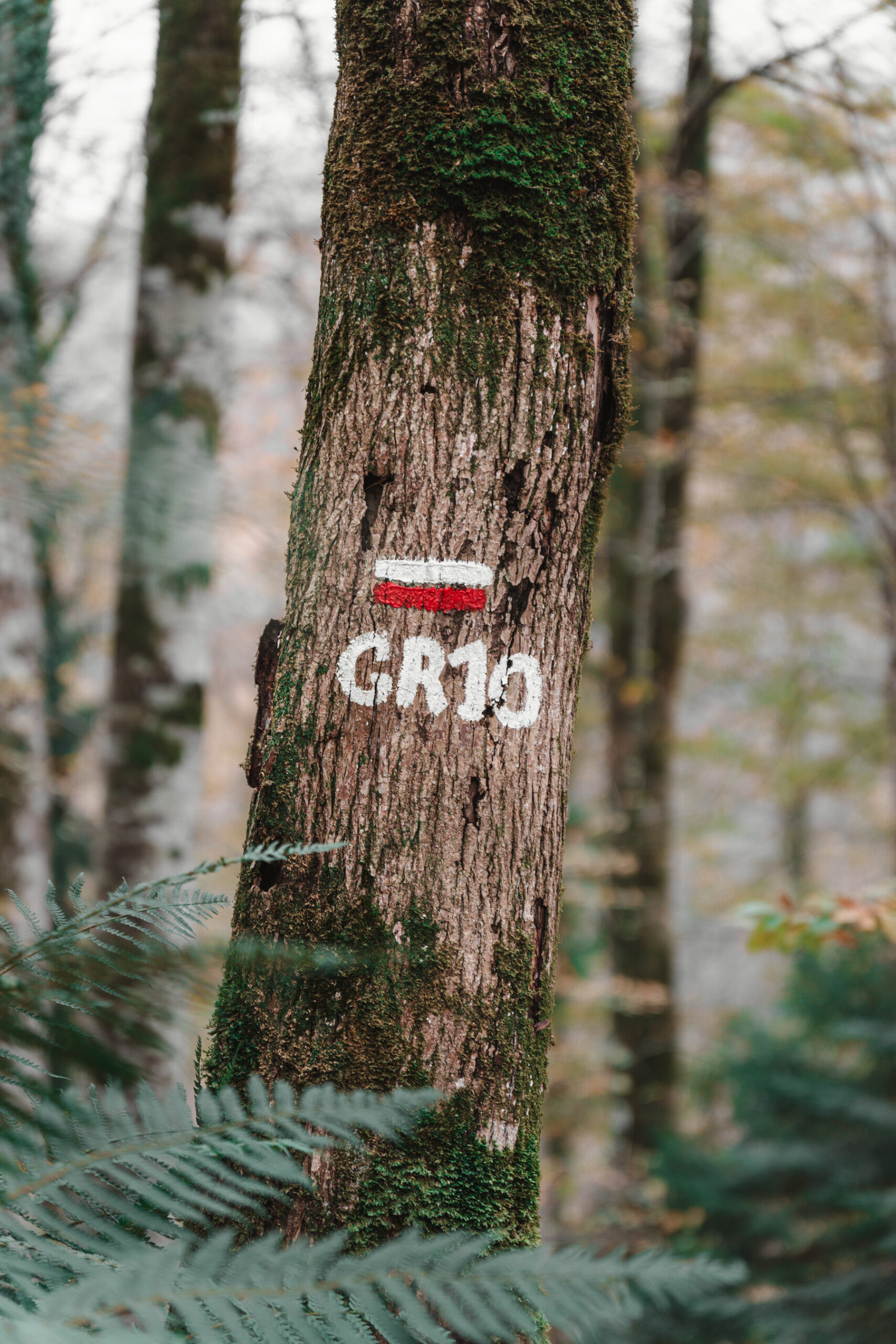 fotografia exterior GR